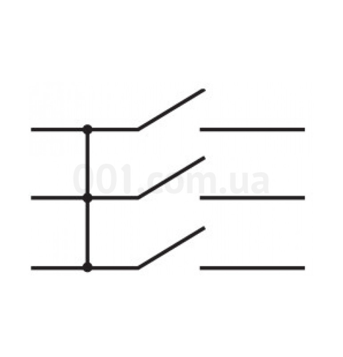 Переключатель KCD2-3101 B/B черный с 3 овальными черными клавишами, АСКО-УКРЕМ 98_102.jpg - фото 2