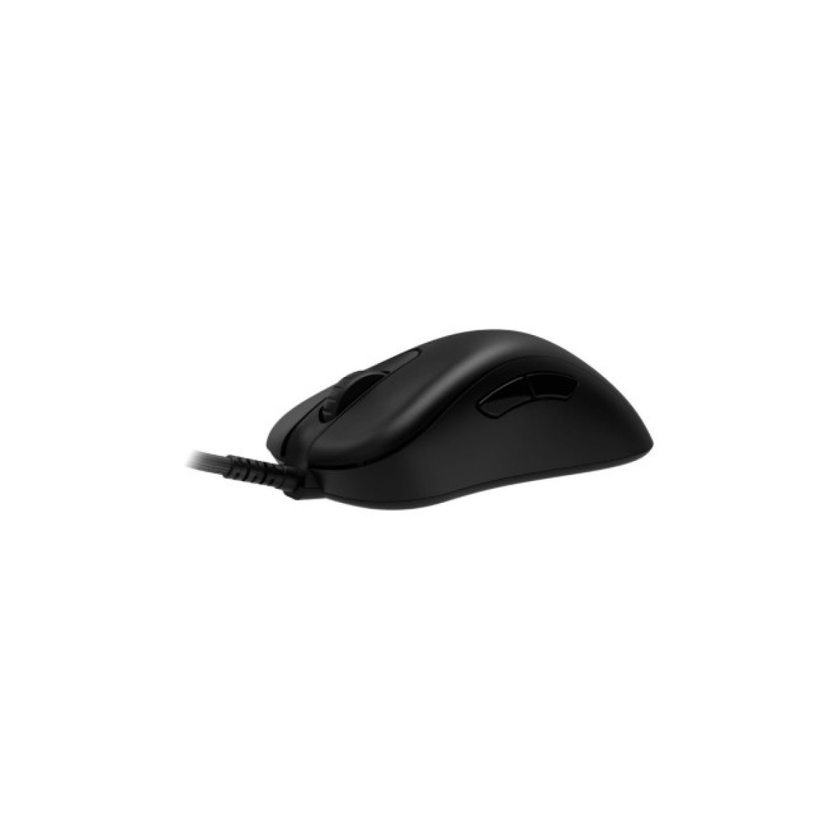 Мишка Zowie EC2-C USB Black (9H.N3ABA.A2E) 256_256.jpg