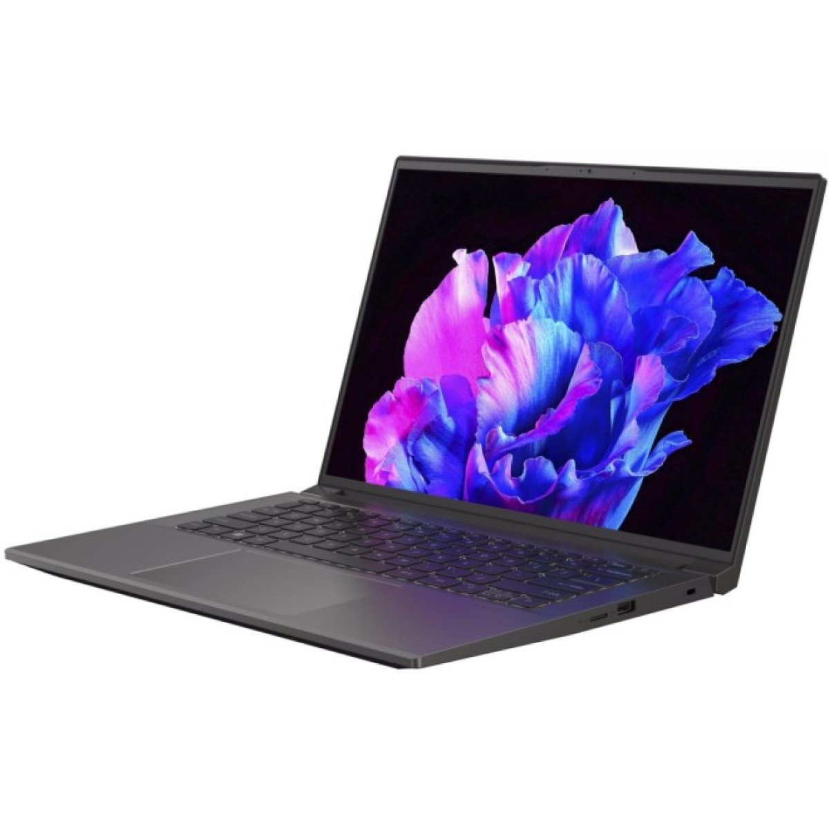 Ноутбук Acer Swift X SFX14-71G (NX.KEVEU.005) 98_98.jpg - фото 8