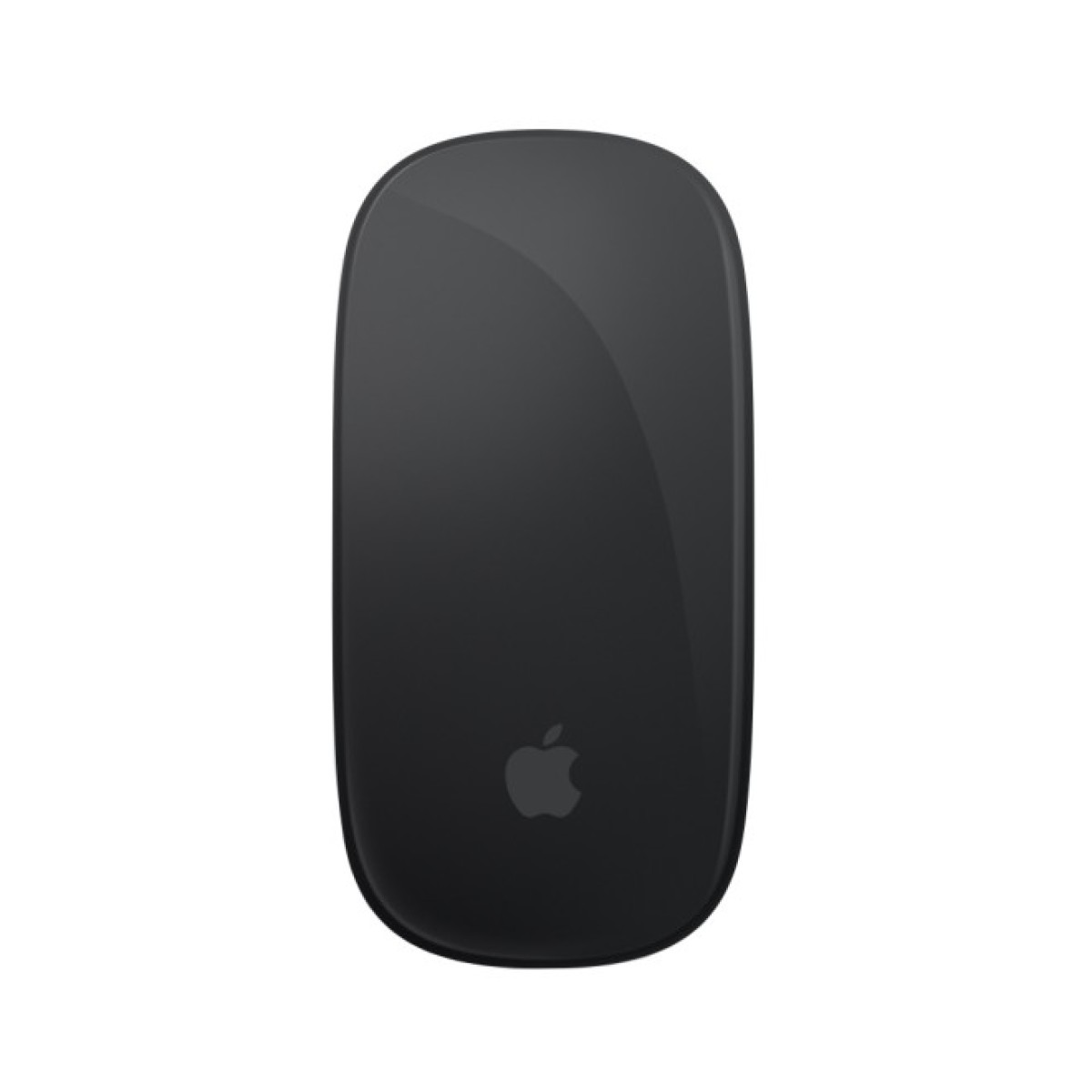Мышка Apple Magic Mouse Bluetooth Black (MMMQ3ZM/A) 256_256.jpg