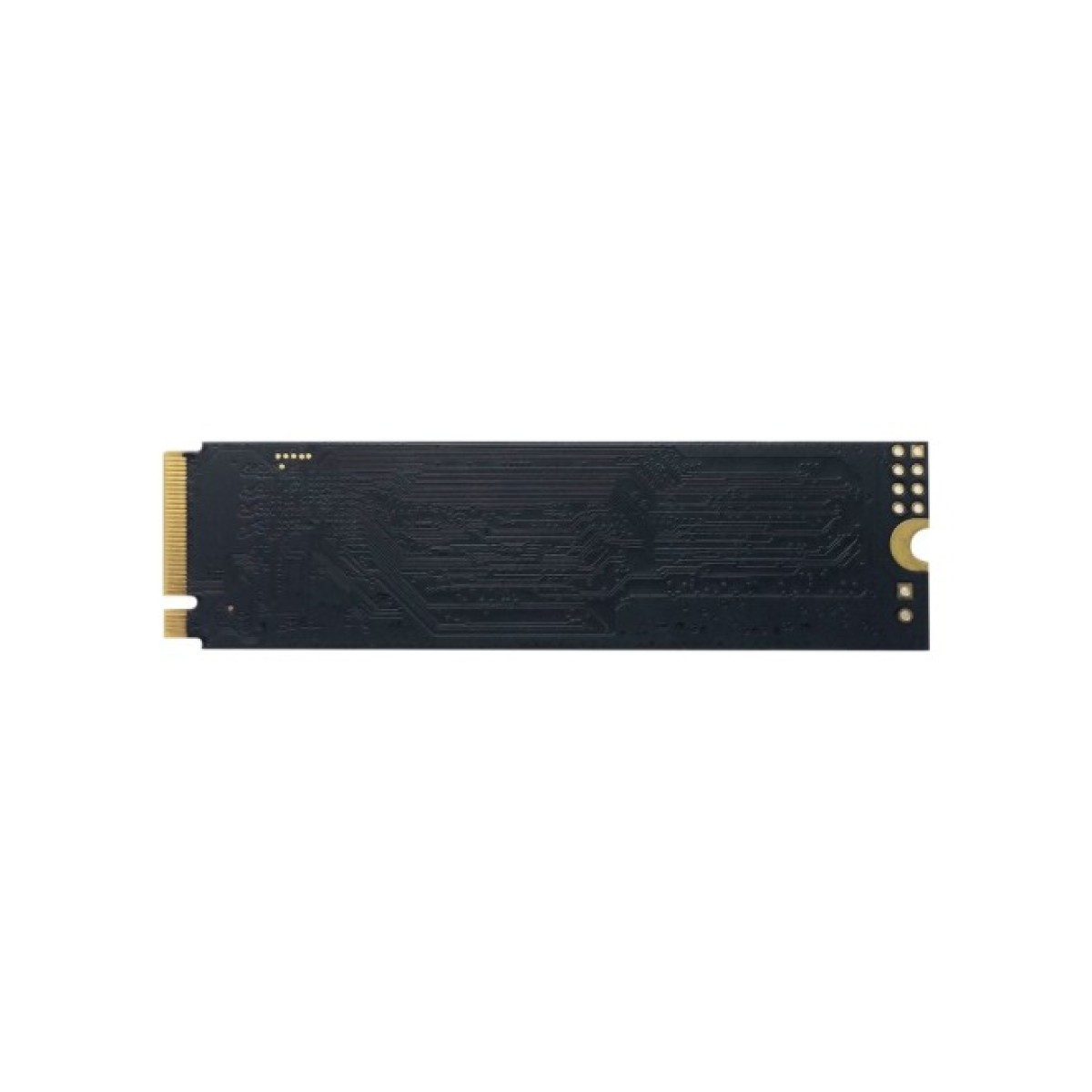 Накопитель SSD M.2 2280 240GB Patriot (P310P240GM28) 98_98.jpg - фото 2
