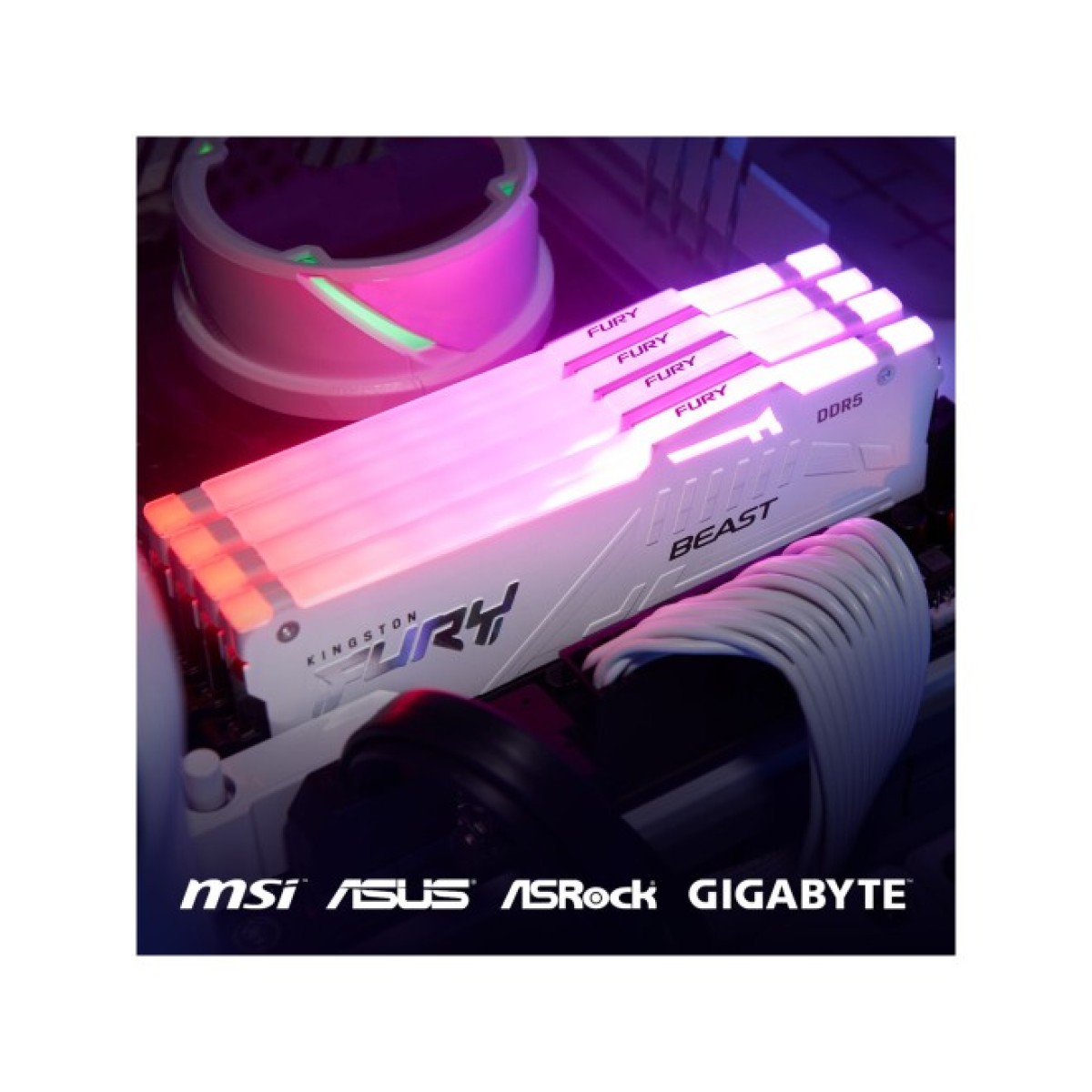 Модуль памяти для компьютера DDR5 32GB 6000 MHz Beast AM5 RGB White Kingston Fury (ex.HyperX) (KF560C36BWEA-32) 98_98.jpg - фото 4