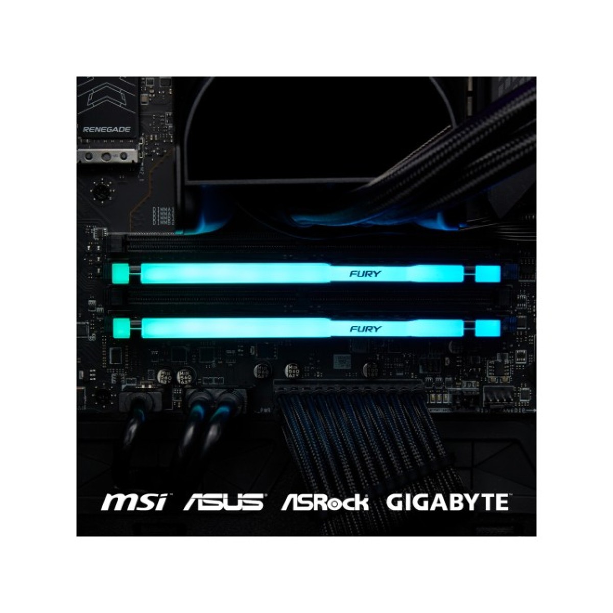 Модуль памяти для компьютера DDR5 32GB 5200 MHz Beast RGB EXPO Kingston Fury (ex.HyperX) (KF552C36BBEA-32) 98_98.jpg - фото 4