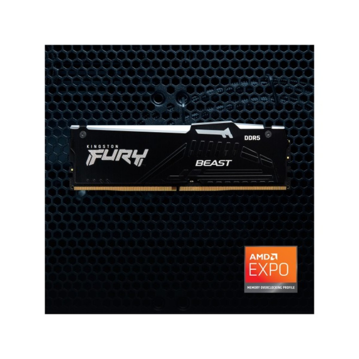 Модуль пам'яті для комп'ютера DDR5 32GB 5200 MHz Beast RGB EXPO Kingston Fury (ex.HyperX) (KF552C36BBEA-32) 98_98.jpg - фото 6