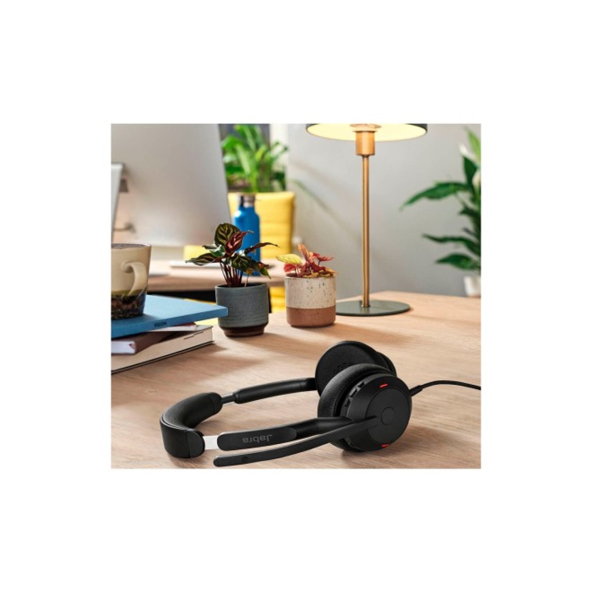 Навушники Jabra Evolve 2 50 MS USB-C Stereo (25089-999-899) 98_98.jpg - фото 4