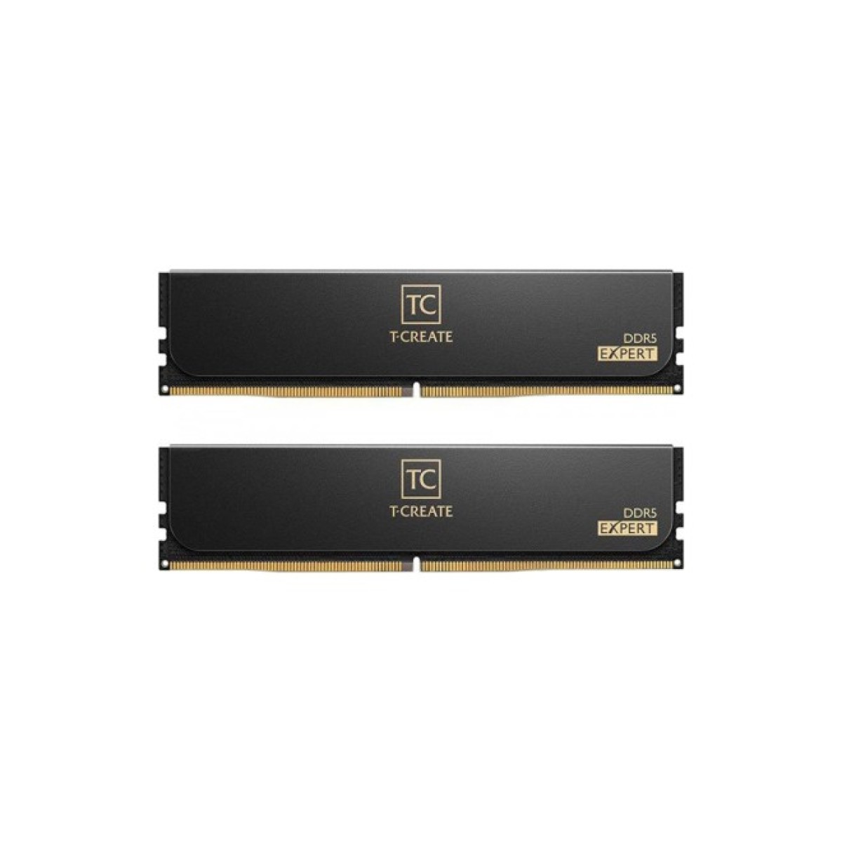 Модуль пам'яті для комп'ютера DDR5 32GB (2x16GB) 6000 MHz T-Create Expert Black Team (CTCED532G6000HC38ADC01) 256_256.jpg