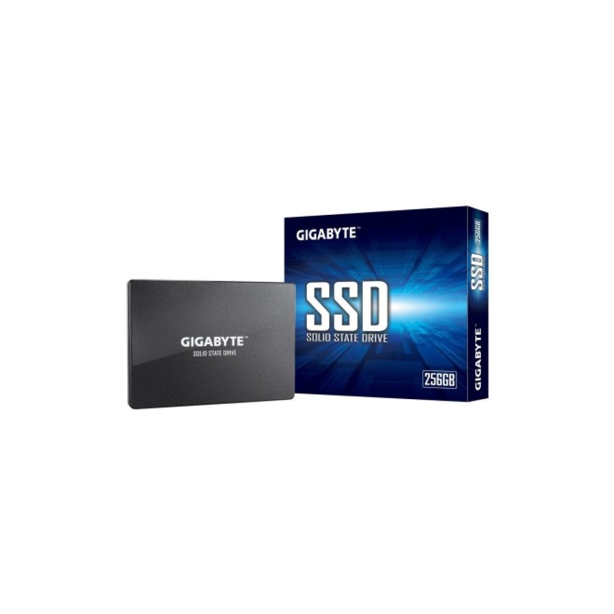 Накопичувач SSD 2.5" 256GB GIGABYTE (GP-GSTFS31256GTND) 98_98.jpg - фото 1