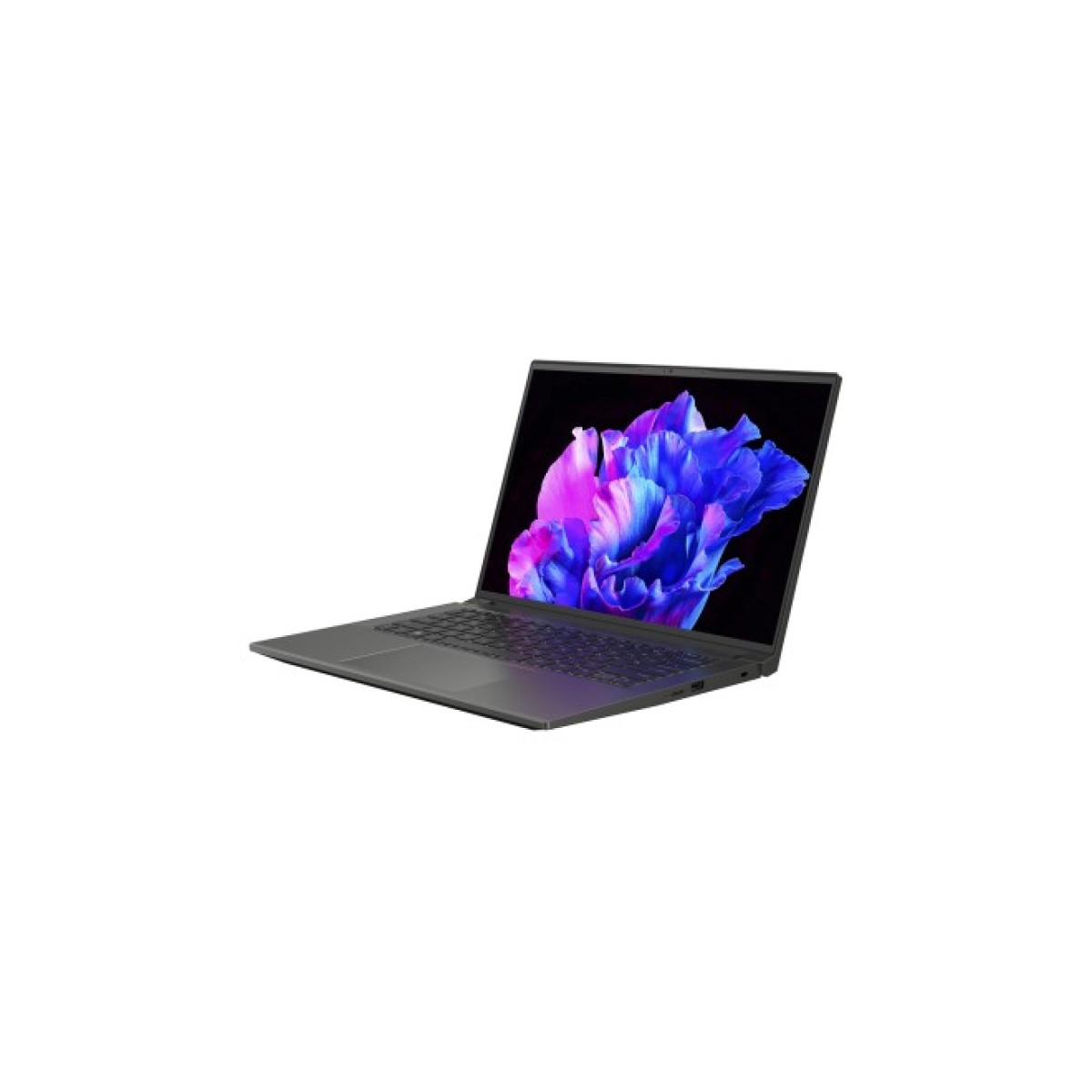Ноутбук Acer Swift X 14 SFX14-71G-53S0 (NX.KMPEU.001) 98_98.jpg - фото 9