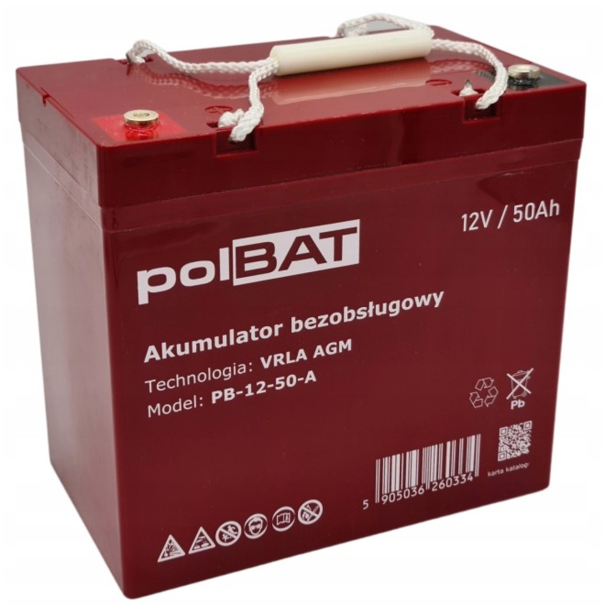 Батарея до ДБЖ polBAT AGM 12V-50Ah (PB-12-50-A) 256_256.jpg