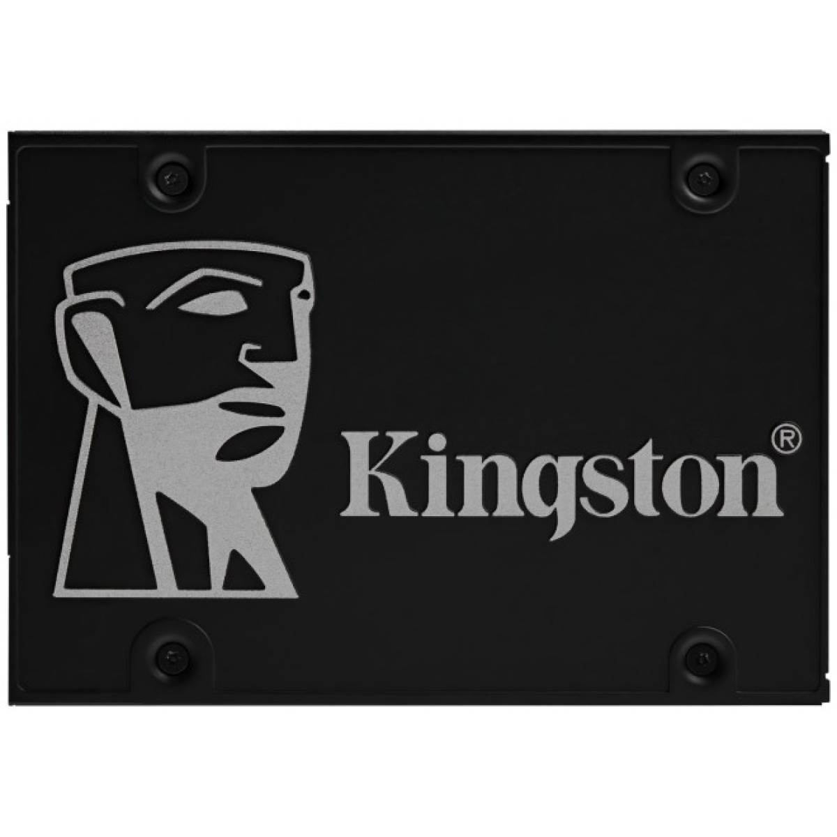 Накопичувач SSD 2.5" 256GB Kingston (OCP0S3256B-A0) 98_98.jpg - фото 1