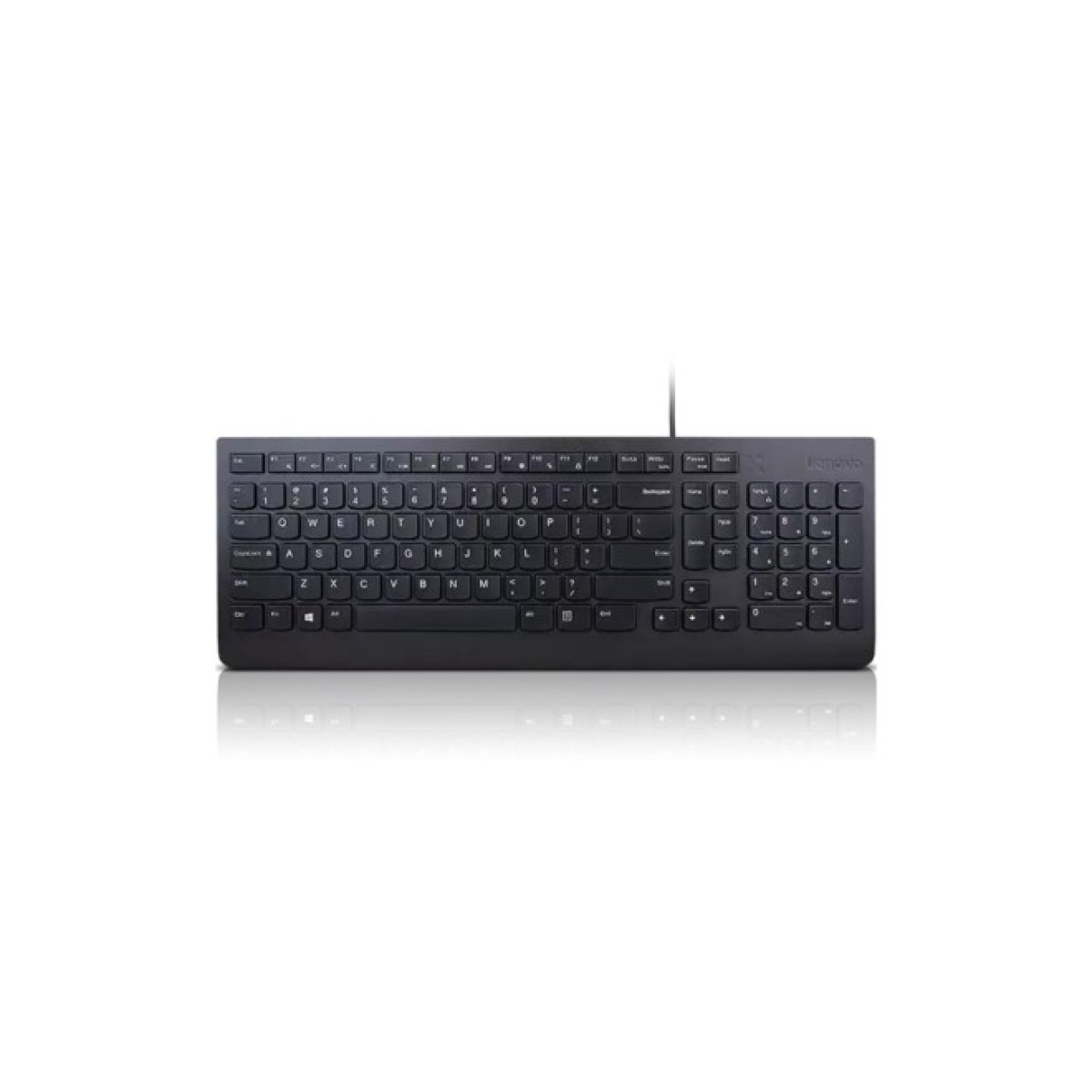 Клавіатура Lenovo Essential USB UA Black (4Y41C75141) 256_256.jpg