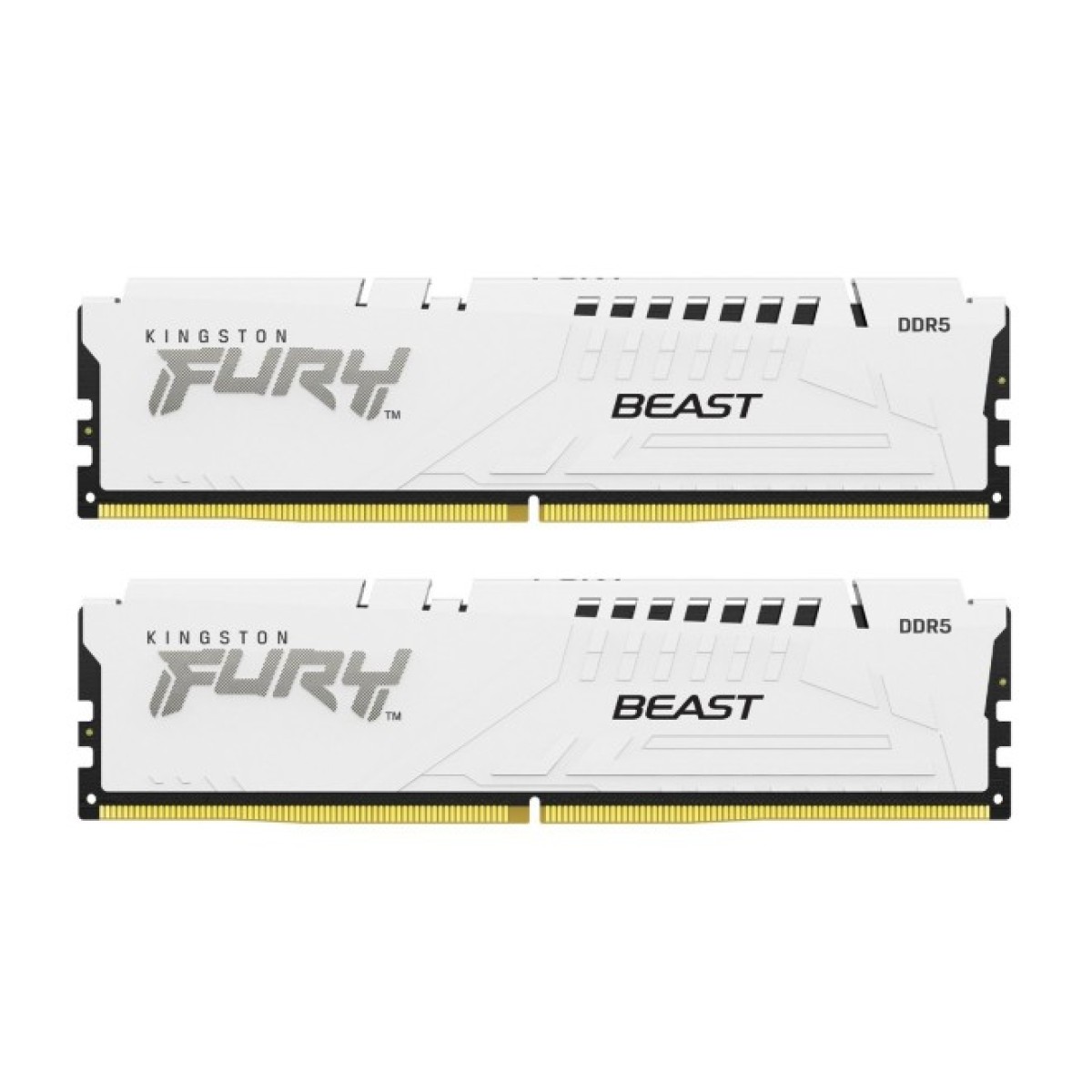 Модуль пам'яті для комп'ютера DDR5 32GB (2x16GB) 6400 MHz Beast White EXPO Kingston Fury (ex.HyperX) (KF564C32BWEK2-32) 256_256.jpg