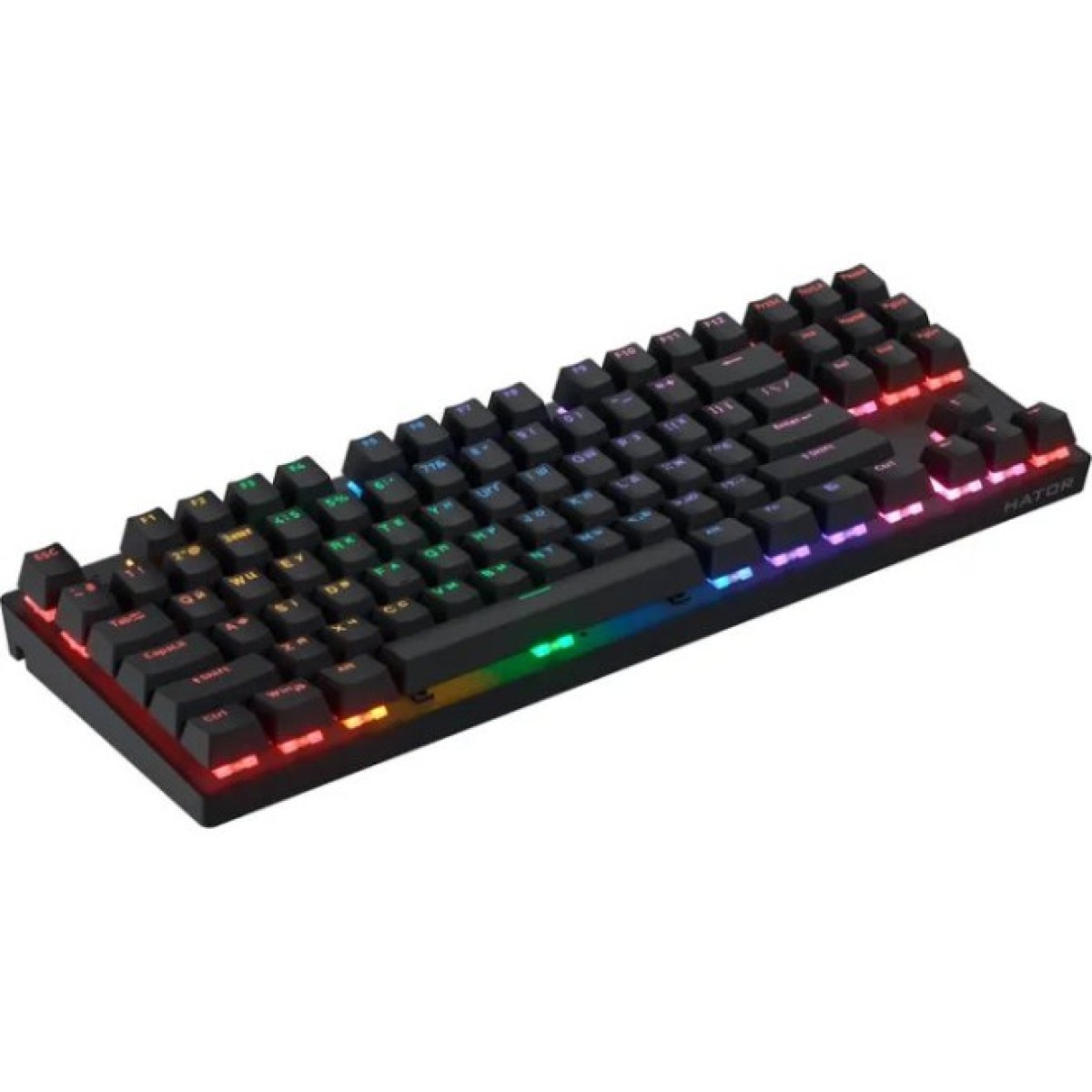 Клавиатура Hator Icefall Mecha TKL Rainbow Wireless/USB Black (HTK287UA) 98_98.jpg - фото 3