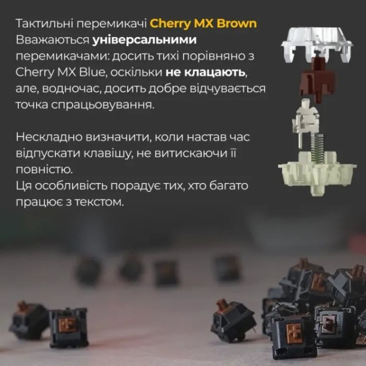 Клавиатура Ducky One 3 TKL Cherry MX Brown UA USB Cream (DKON2187-BUAPXМAEGGC1) 98_98.jpg - фото 11