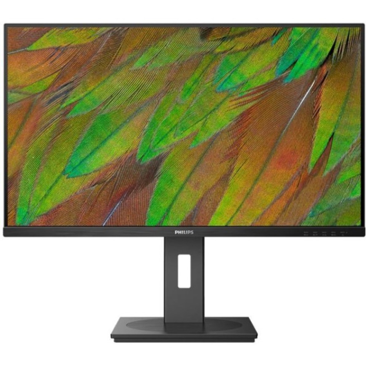 Монитор Philips 32B1N3800/00 256_256.jpg