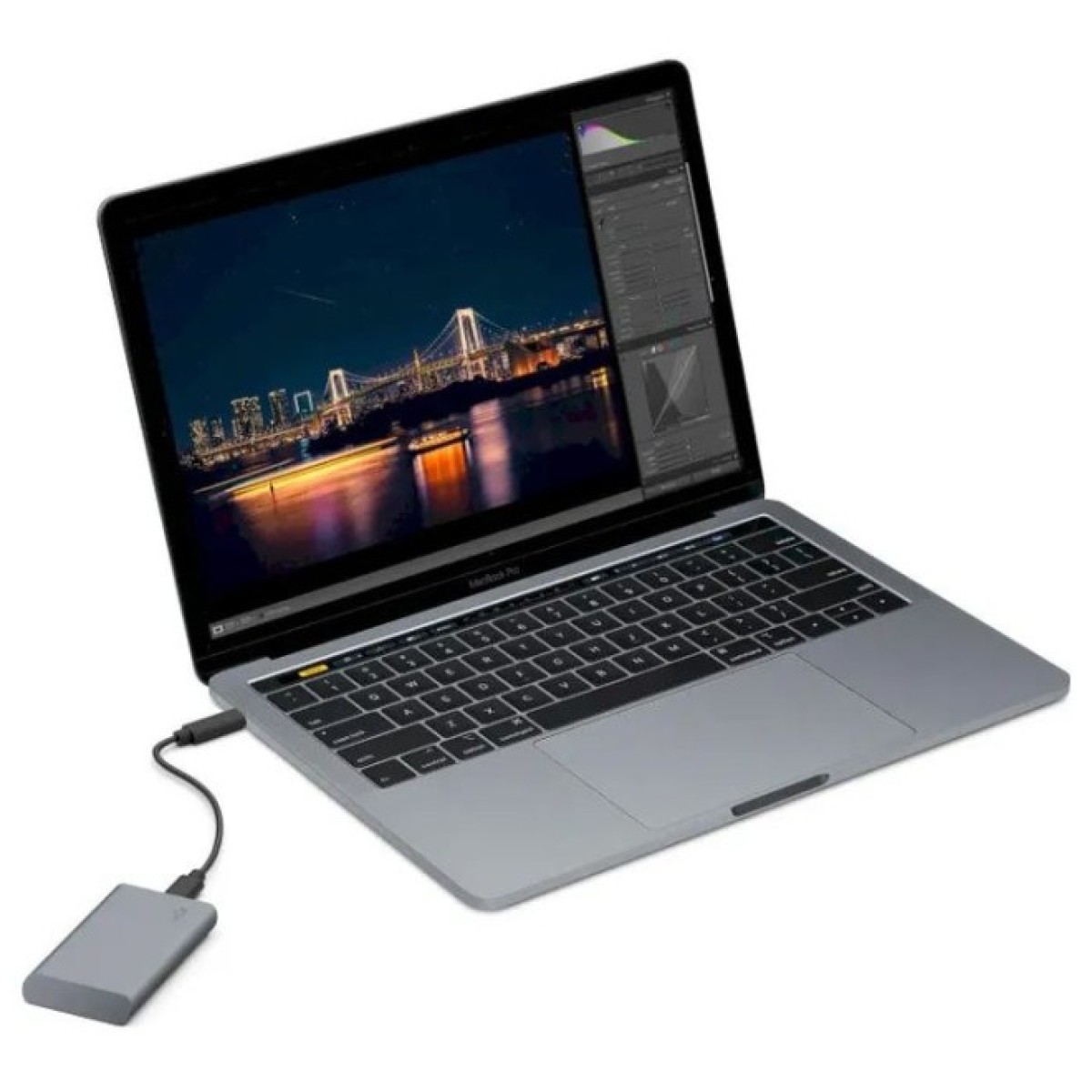 Накопитель SSD USB Type-C 1TB Mobile Secure LaCie (STKH1000800) 98_98.jpg - фото 12