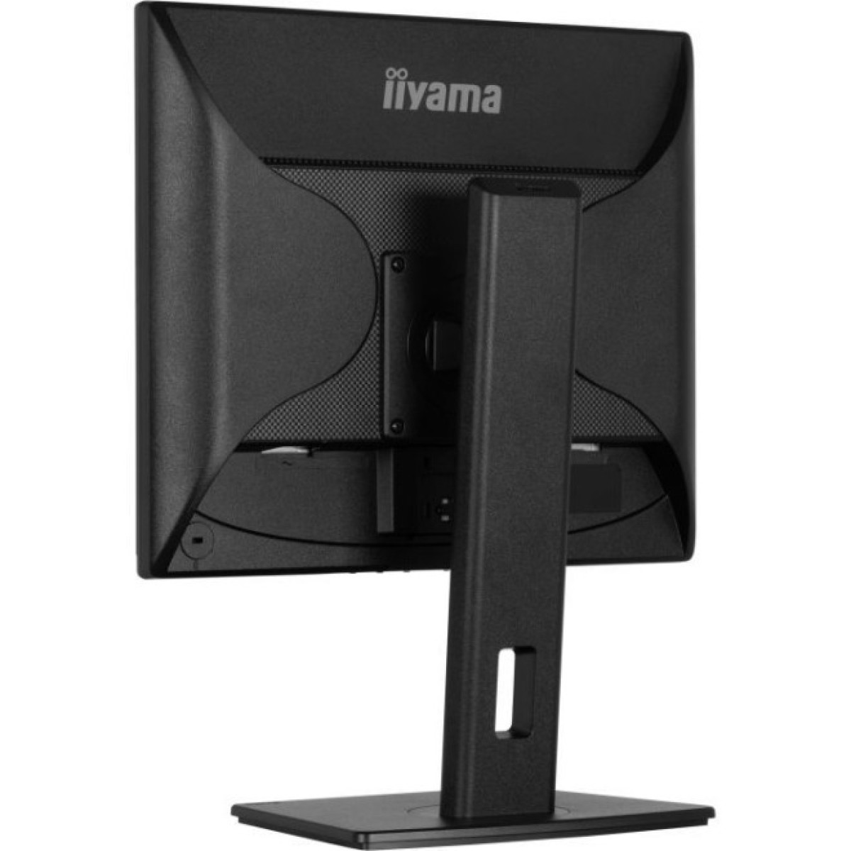 Монитор iiyama B1980S-B1 98_98.jpg - фото 5