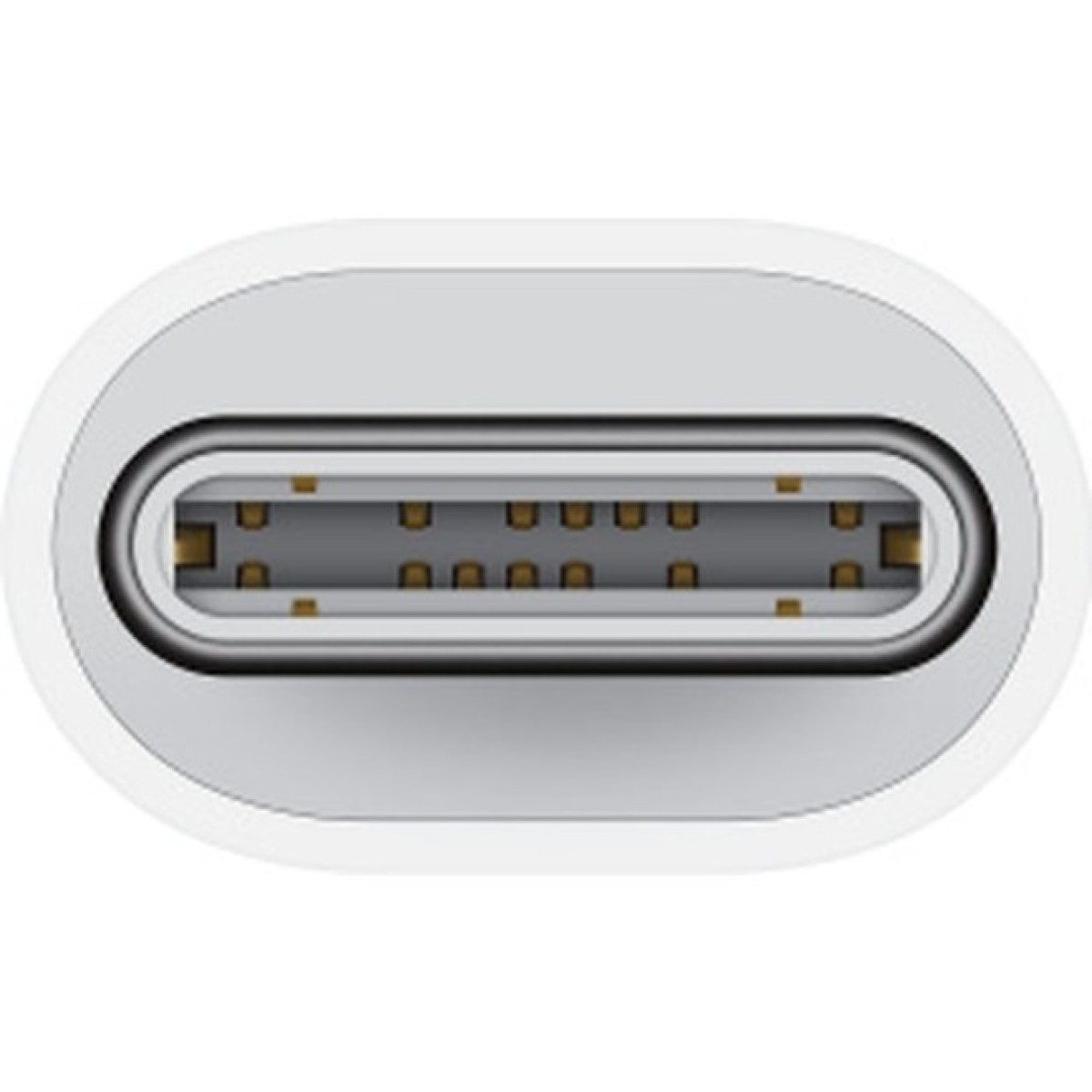 Перехідник USB-C to Lightning Adapter (Model A2868) Apple (MUQX3ZM/A) 98_98.jpg - фото 2