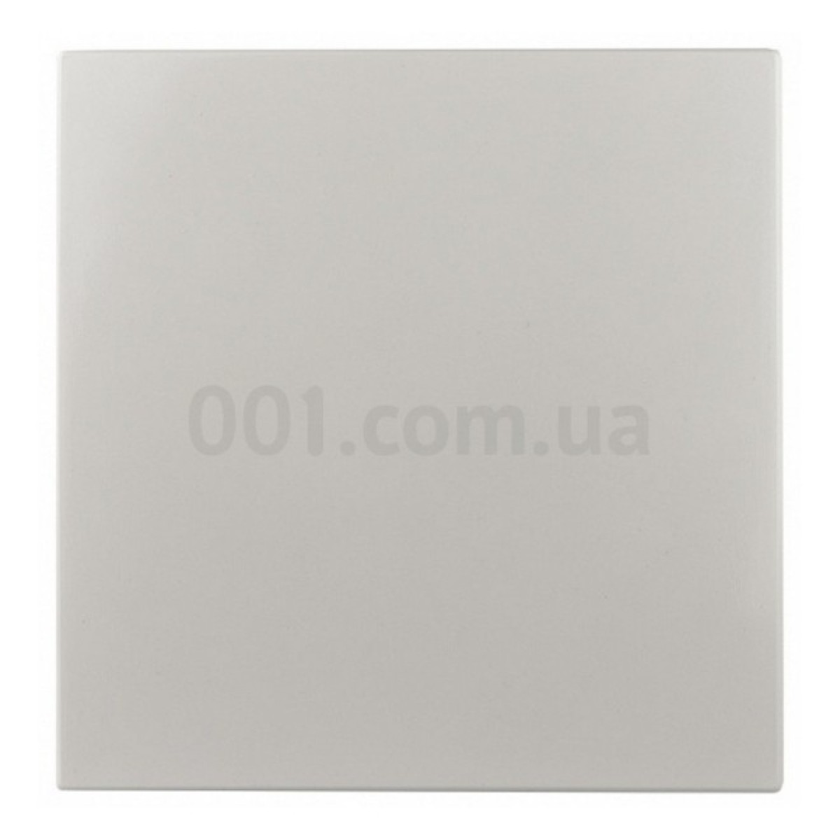 Коробка розподільча 100×100×45 (бетон), АСКО-УКРЕМ 98_98.jpg - фото 3