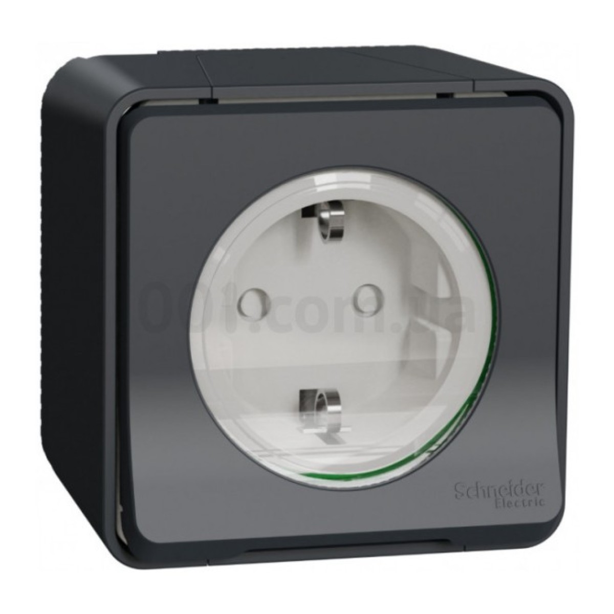 Розетка с з/к и шторками Mureva Styl черная IP55, Schneider Electric 256_256.jpg