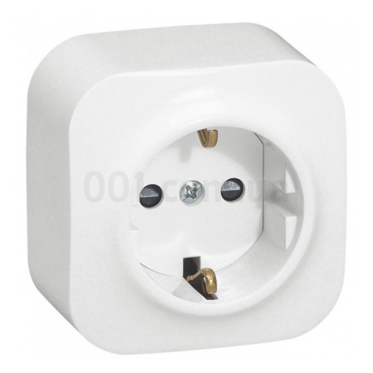 Розетка з з/к без шторок Forix IP20 біла, Legrand 256_256.jpg