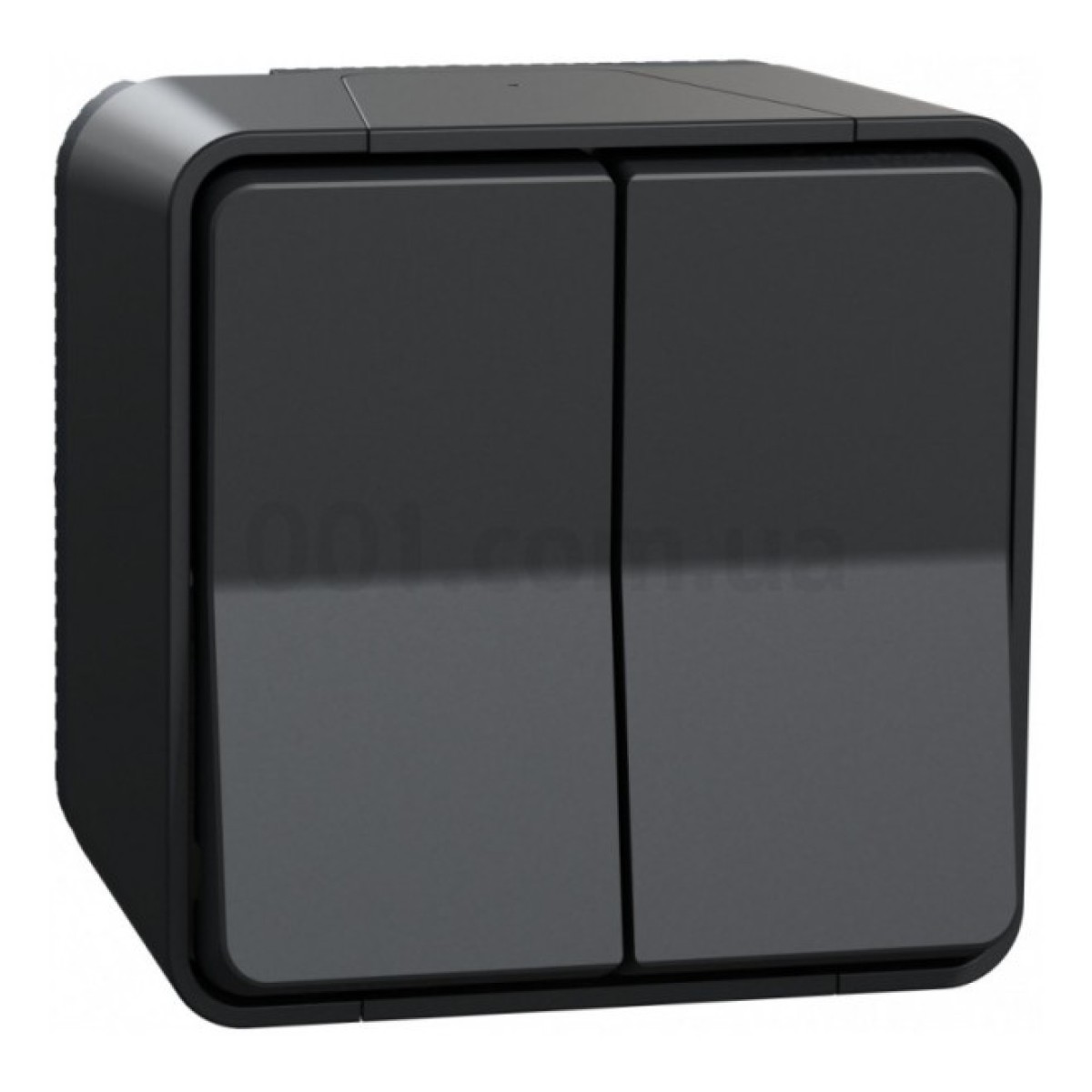 Переключатель 2-клавишный Mureva Styl черный IP55, Schneider Electric 256_256.jpg