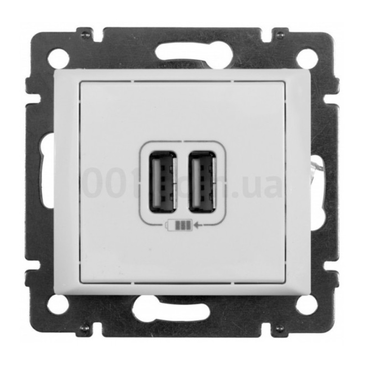 Розетка USB 2-местная Valena белая, Legrand 256_256.jpg