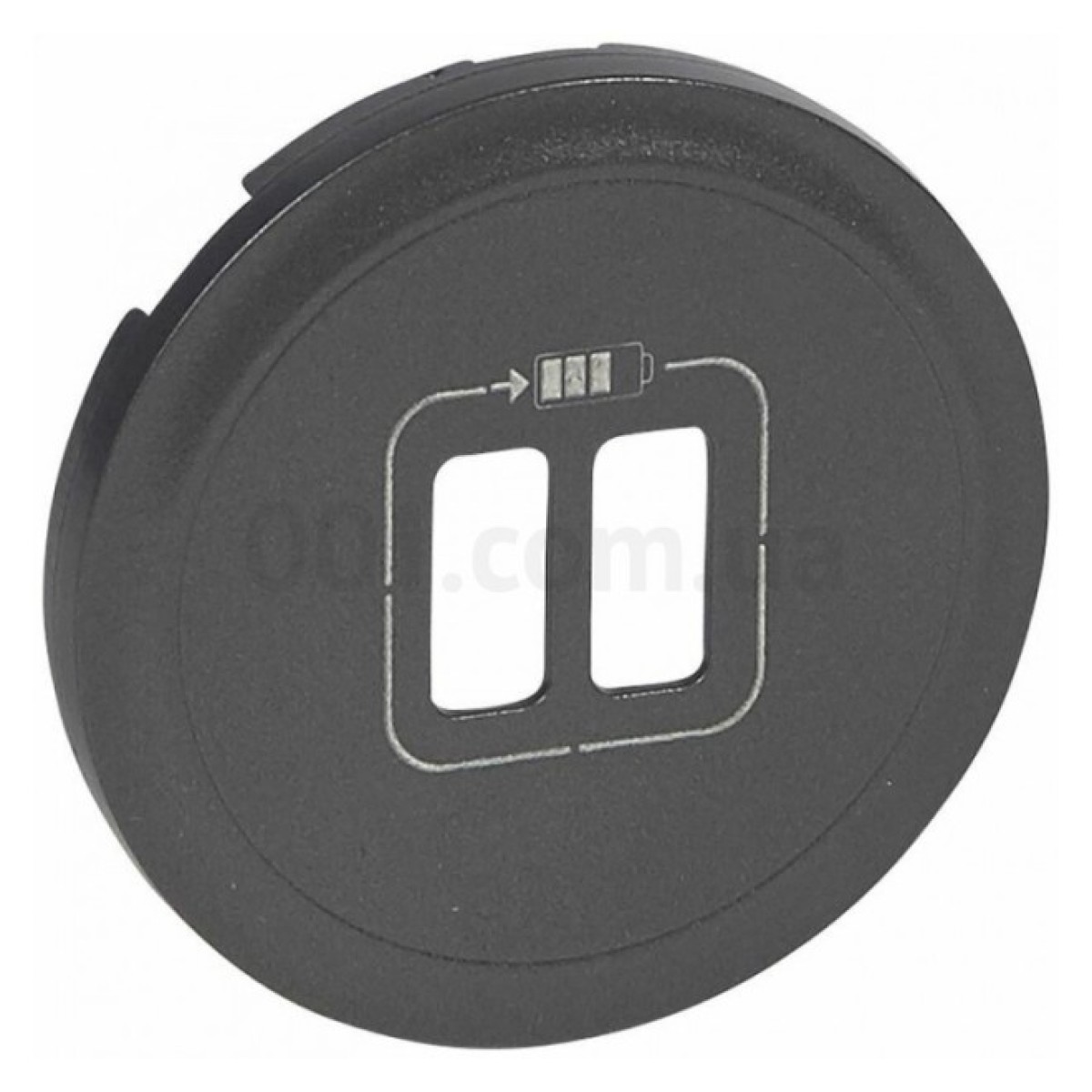 Лицевая панель двойной розетки USB Celiane графит, Legrand 256_256.jpg