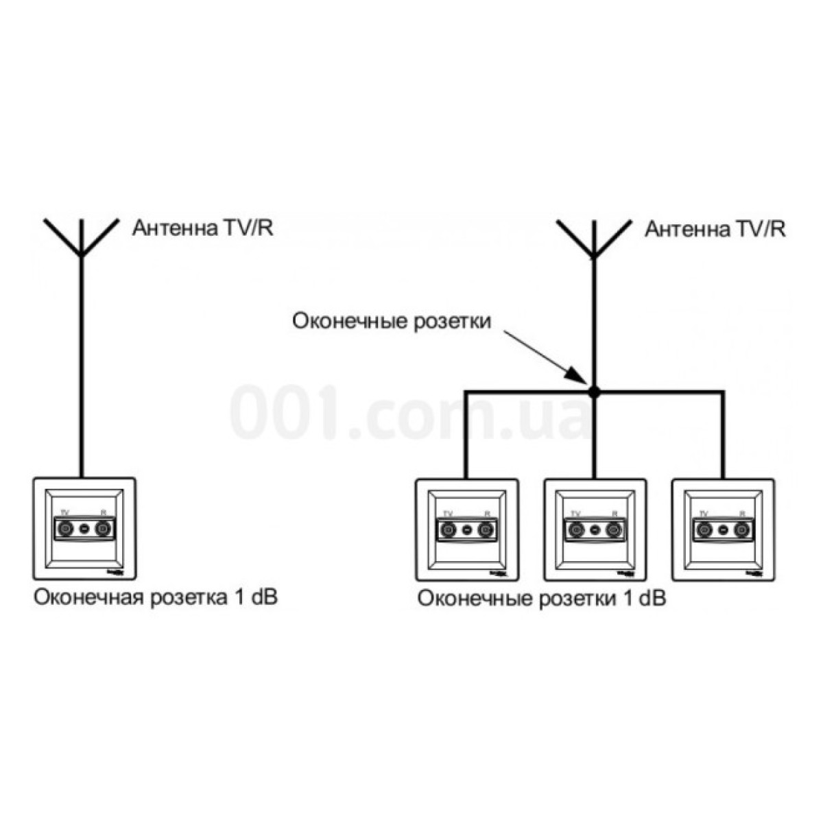 Розетка TV оконечная (1 dB) Asfora сталь, Schneider Electric 98_98.jpg - фото 4
