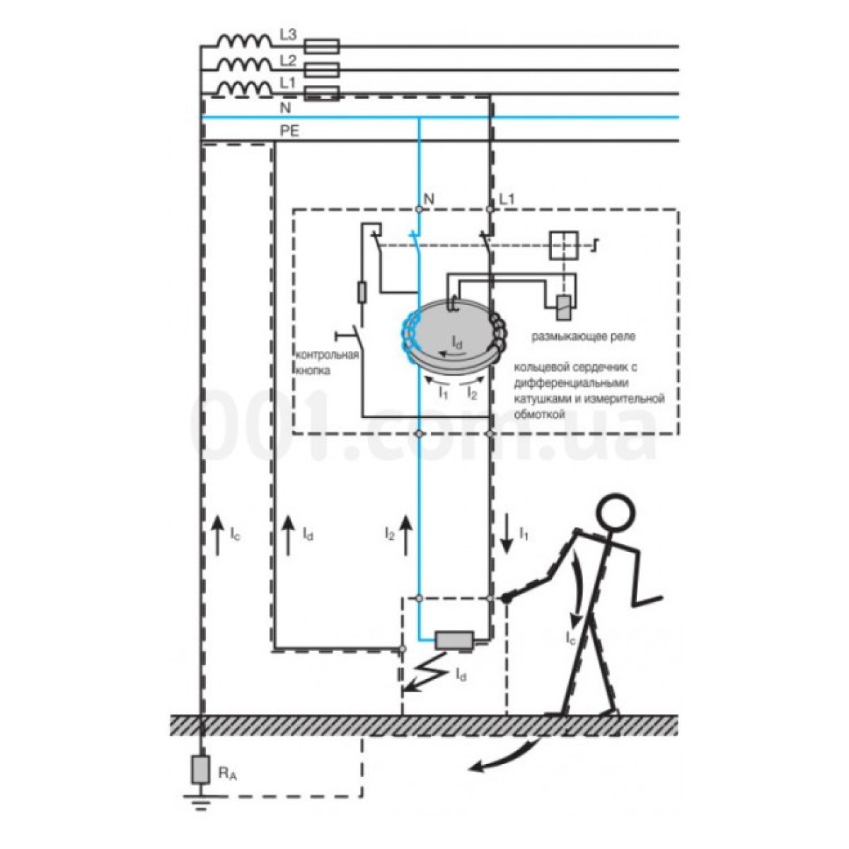 Устройство защитного отключения (УЗО) CFA425D 4P 25A 300mA тип A, Hager 98_98.jpg - фото 2