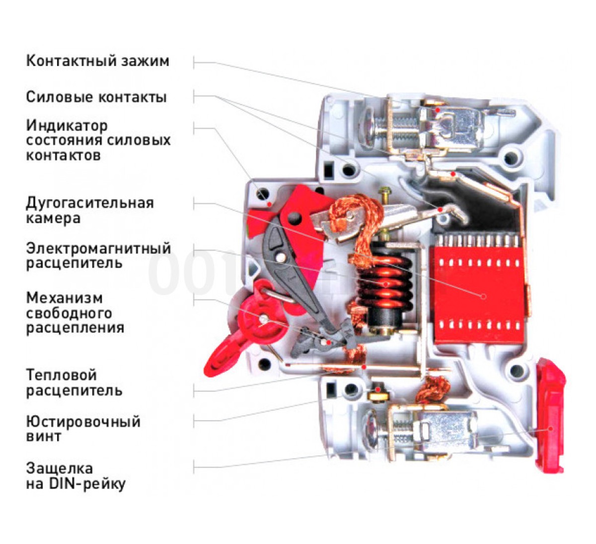 Автоматичний вимикач e.mcb.pro.60.1.C 16 new, 1P 16 А характеристика C, E.NEXT 98_89.jpg - фото 3